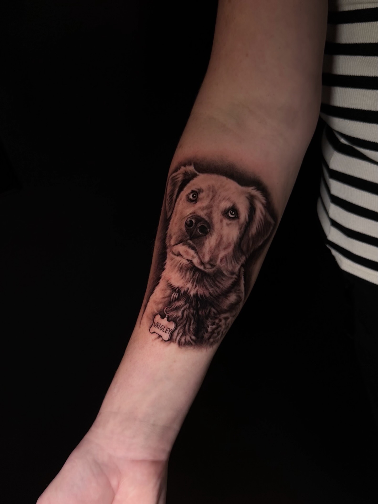 Black and grey full sleeve tattoo with angel tiger portrait and medieval knight armor